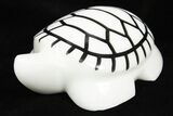 Carved White Marble Turtle - Philippines #308665-1